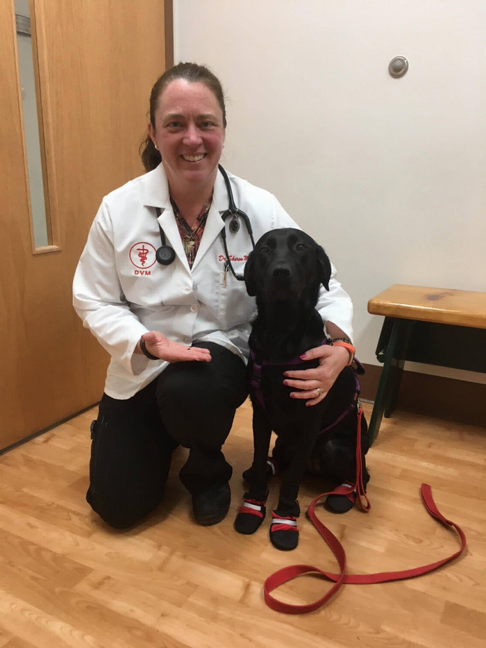 Sharon Minninger, DVM